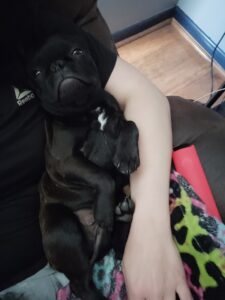 Paris, 7 months old