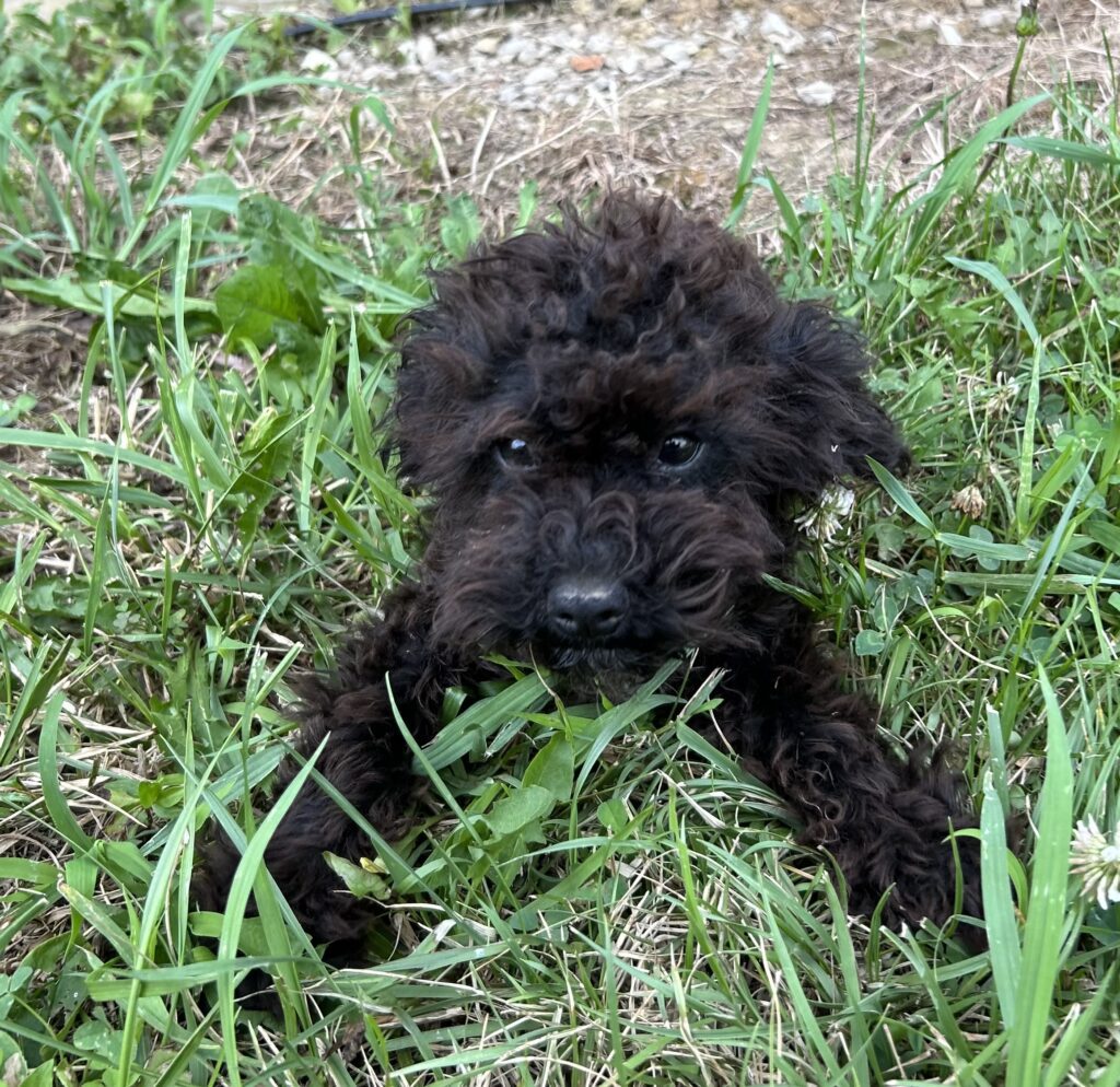 Available girl, photo taken 7-16-25