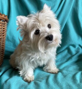 M&M parents Ernie and Maggie Mae