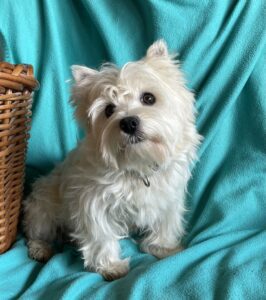 M&M parents Ernie and Maggie Mae