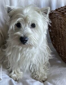 Edith, Parents are Earl and Louanne